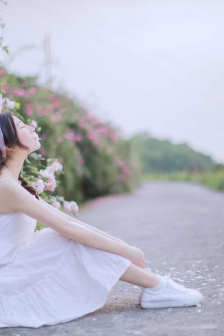 明星专题：孟佳